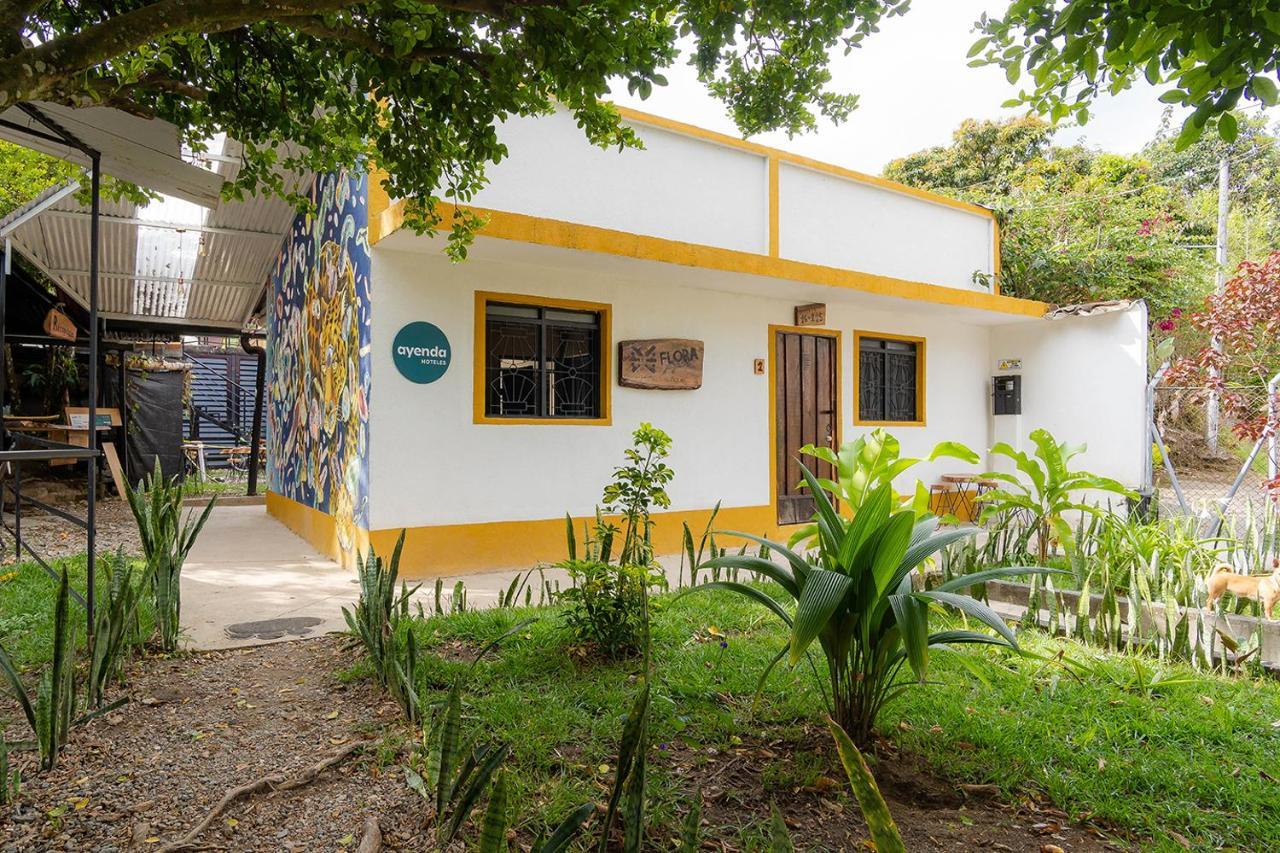 Bed and Breakfast Ayenda Flora Jaguar Ibagué Exterior foto